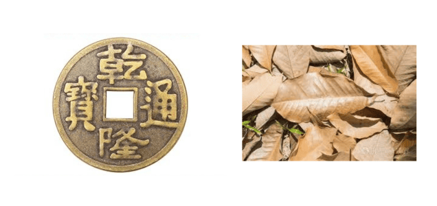 feng shui in west 2026